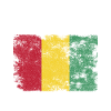 Guinea Flag Distressed - Guinean Flag
