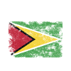 Guyana Flag Distressed - Drapeau guyanais