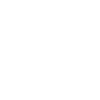 100% Not Vegan