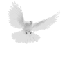 Pigeon Emblem