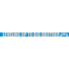 Leveling up big brother