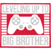 Leveling up big brother