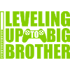 Leveling up big brother