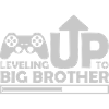 Leveling up big brother