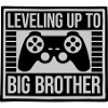 Leveling up big brother
