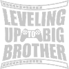 Leveling up big brother