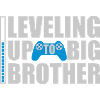 Leveling up big brother