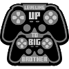 Leveling up big brother