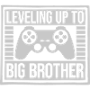 Leveling up big brother