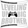 Leveling up big brother