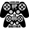 Leveling up big brother