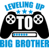 Leveling up big brother