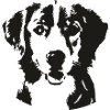 Dog Face