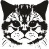 cat face