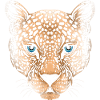 Leopard Cheetah Jaguar
