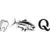 dent thon q