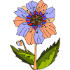 Blume