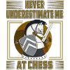 NEVER UNDERESTIMATE ME AT CHESS