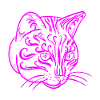 chat