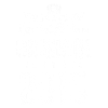 2015 limited edition