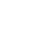 Limited Edition 1991