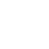 Limited Edition 1990