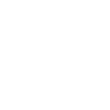 Édition limitée 1981
