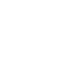 Limited Edition 1980