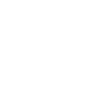 Limited Edition 1963