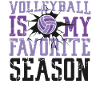 Volleyball Player Team Volleyball