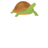 I love sea turtles