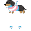 cute dog dachshund animal love