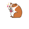 Golden hamster
