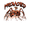 Promoted to Aunt Ant Pregnancy