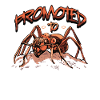 Promoted to Aunt Ant Pregnancy