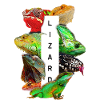 Reptile Keeper Lizard Owner