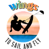 wings Kyte surf jump