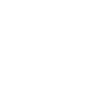 Evolution Schlosser