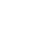 Evolution Stahlbauer