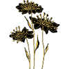 Fleur