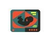 Échographiste Échographie Échographie Échographie