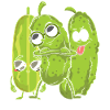 Concombre