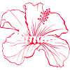 Women's Seminar - Punani