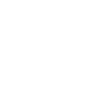 Bear and beer