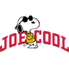 Jordnødder Snoopy Joe Cool solbriller
