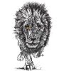 Face the Animal Lion