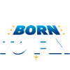 Born to Fly Flugzeug