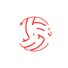 Coach Volleyball