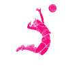 Volleyball Player Spike