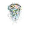 Méduse